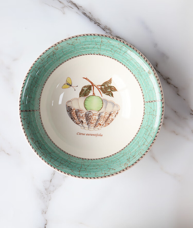 现货英国wedgwood盘子莎拉花园陶瓷餐具米饭沙拉面汤盘盘子34cm三明治