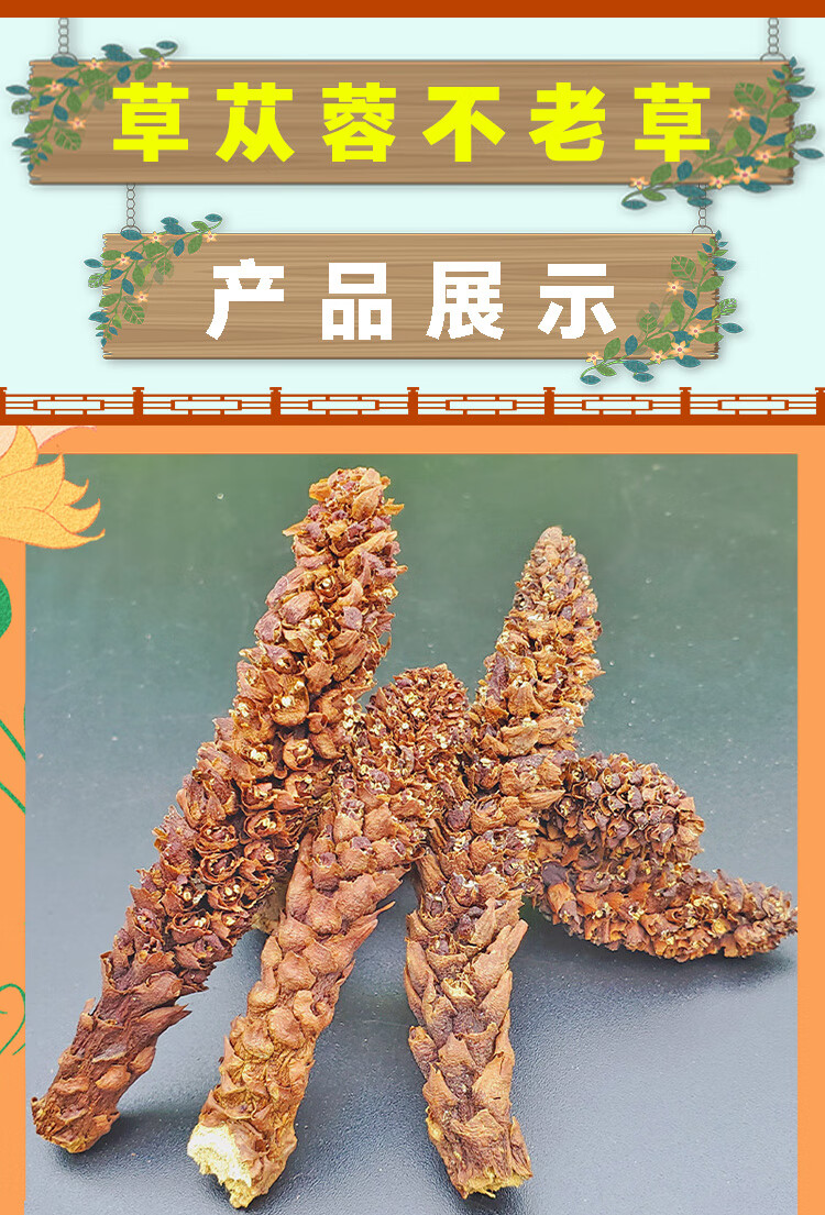 回春草野生特级列当中药材泡酒肾料虚男补茶草苁蓉粉山苞米不老草