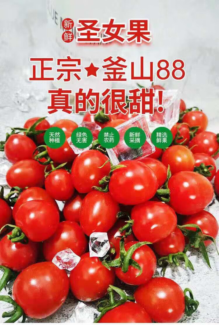 梓乐果 正宗釜山88现摘玲珑小番茄超甜有圣女果孕妇生吃水果 二斤试吃