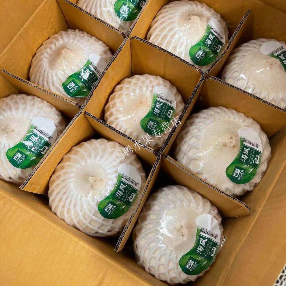 泰国海风椰青水果码头香椰整箱9个新鲜椰子天然饮料【配开椰器吸管】
