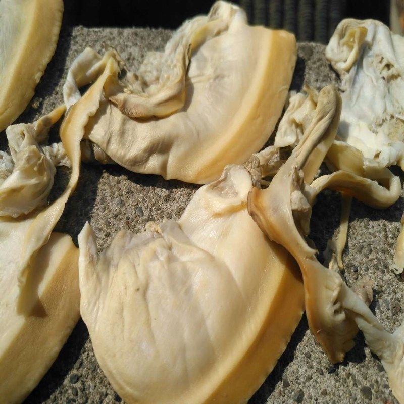 新鲜农家晒干河蚌肉干湖南邵阳土特产干贝壳肉河干货250g490克新鲜