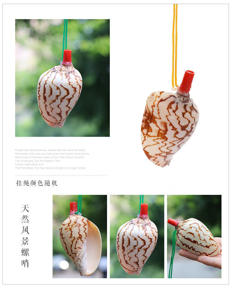 现货直发海螺号角儿童贝壳玩具小螺号超大海螺壳工艺品可吹响喇叭口哨