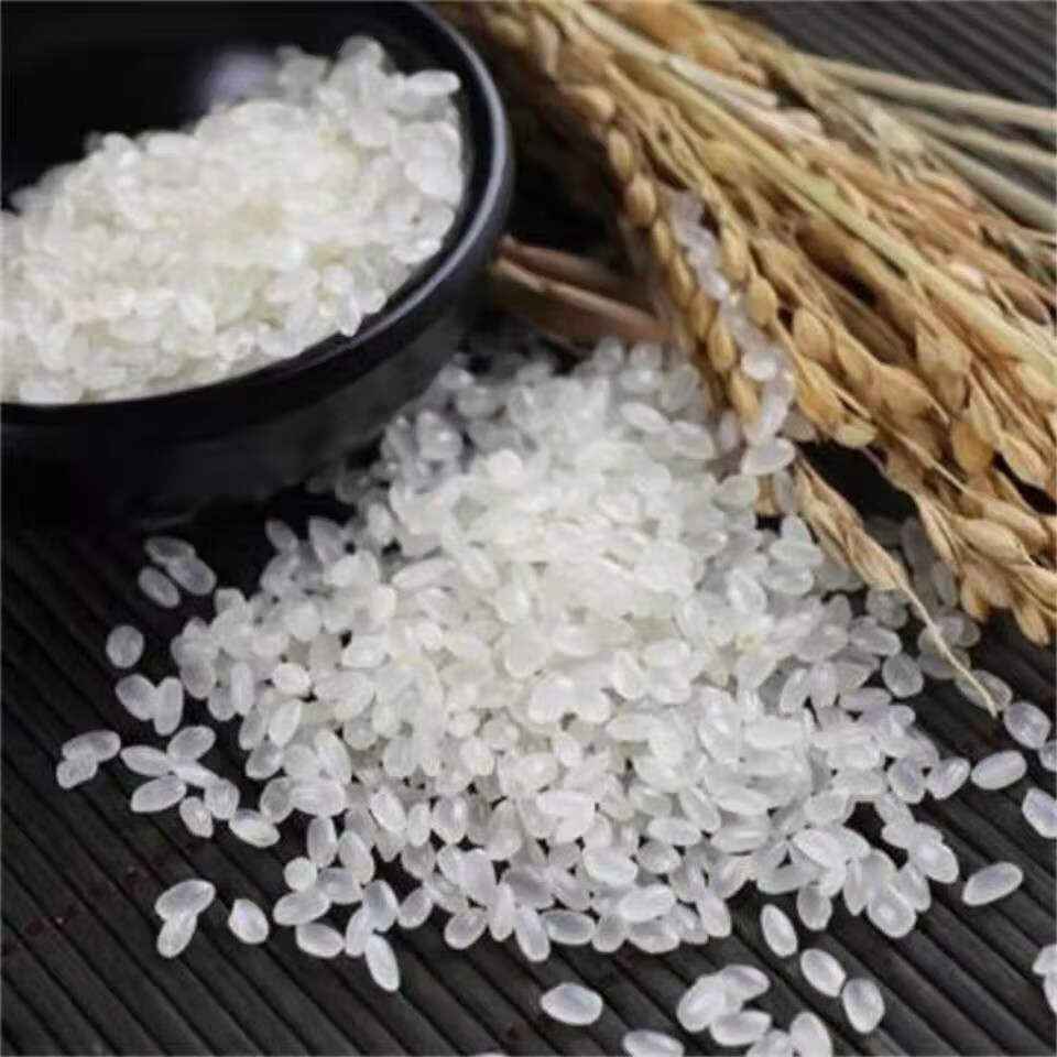 【】黑龙江现磨宁安响水石板大米5斤10斤 龙稻20真空装10斤【图片