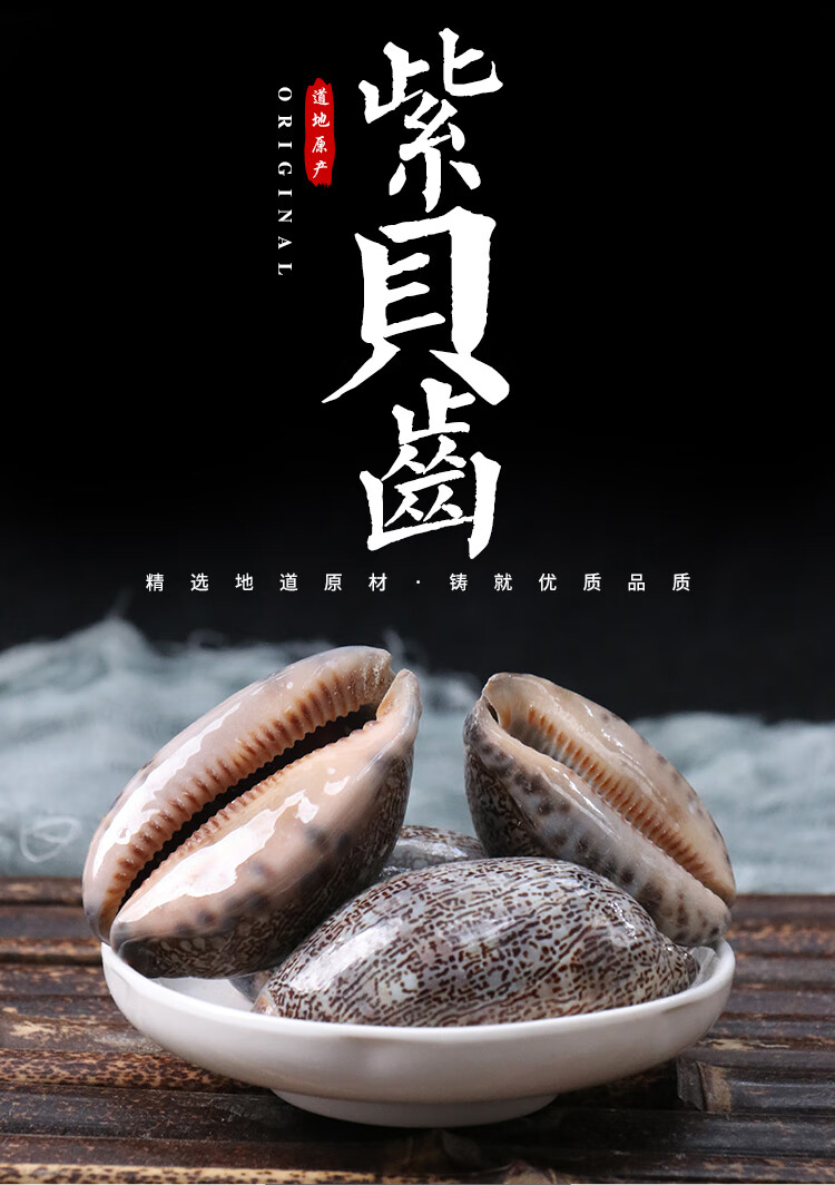 中药材 紫贝齿 紫贝 文贝 紫贝子 南蛇牙齿螺500克【图片 价格 品牌