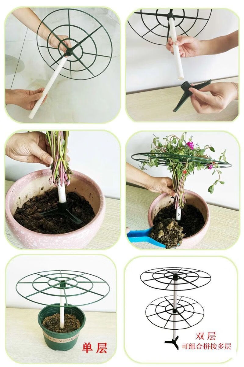太阳花支架太阳花架子棒棒糖支架花架蟹爪兰嫁接叶仙绿萝单多层支撑