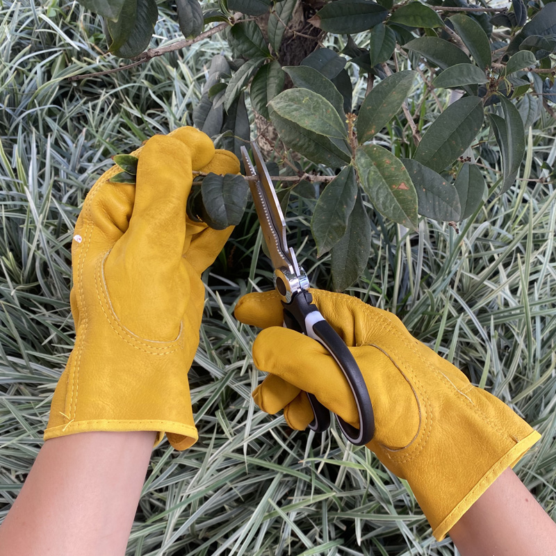 摘花椒专用神器手套防刺防扎耐磨剥毛豆手指套摘菜摘辣椒的拇指刀
