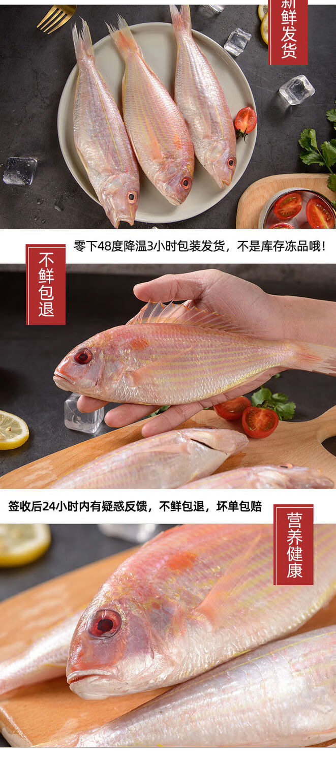 湛江红杉鱼新鲜海鱼金线鱼黄线鱼红三鱼冰鲜冻1000g昌盛隆2斤装每斤57