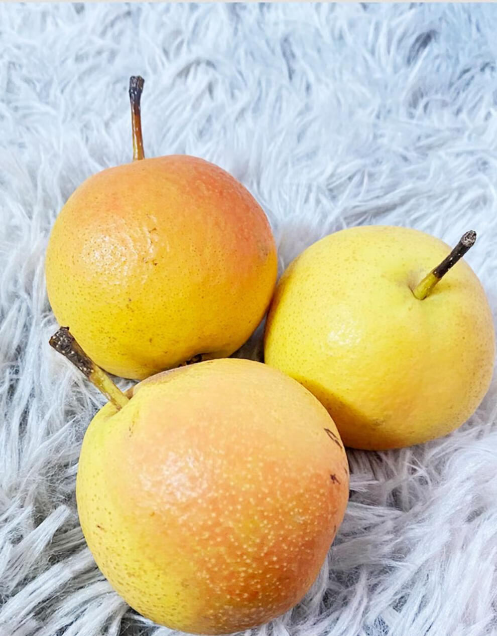 【百年梨园】细肉正宗海城新鲜红南国梨大果好吃的水果东北特产礼盒