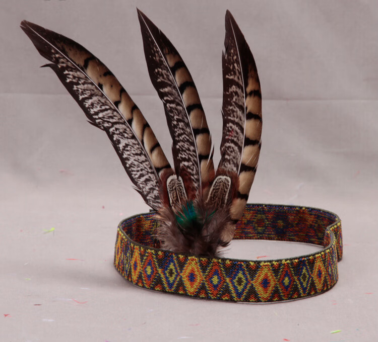 新款印第安羽毛头发饰野鸡毛头饰非洲夸张酋长帽走秀表演舞台道具侧面