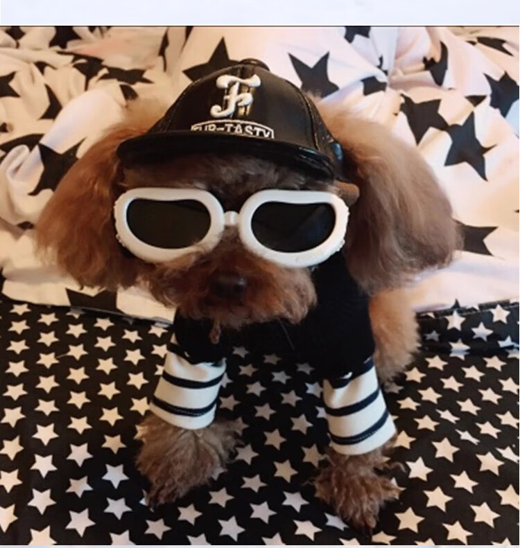 618嗨购小狗护目镜宠物眼镜太阳眼镜狗墨镜防风泰迪雪纳瑞模特拍照