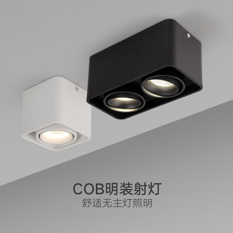 无主灯led明装筒灯客厅外置双头方形射灯过道免开孔吸顶明装白色款单