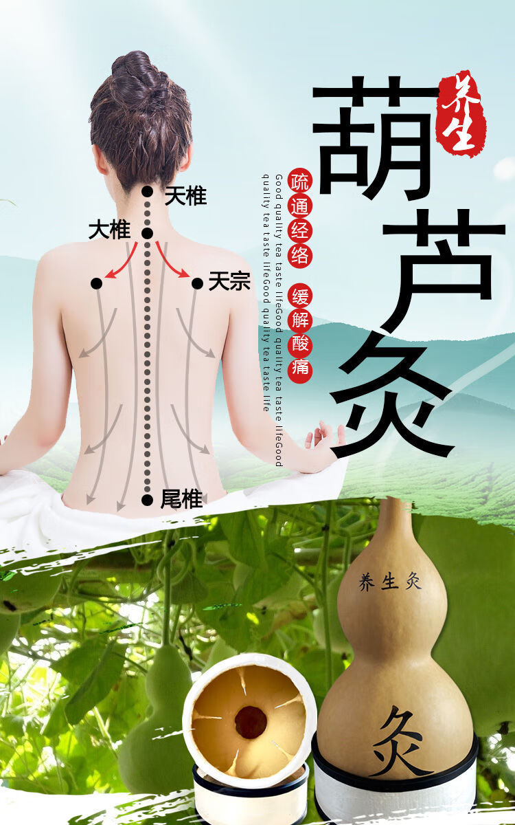 天然葫芦艾灸盒家用理疗仪器熏蒸腰腹部宫寒美容院专用多功能2224普通