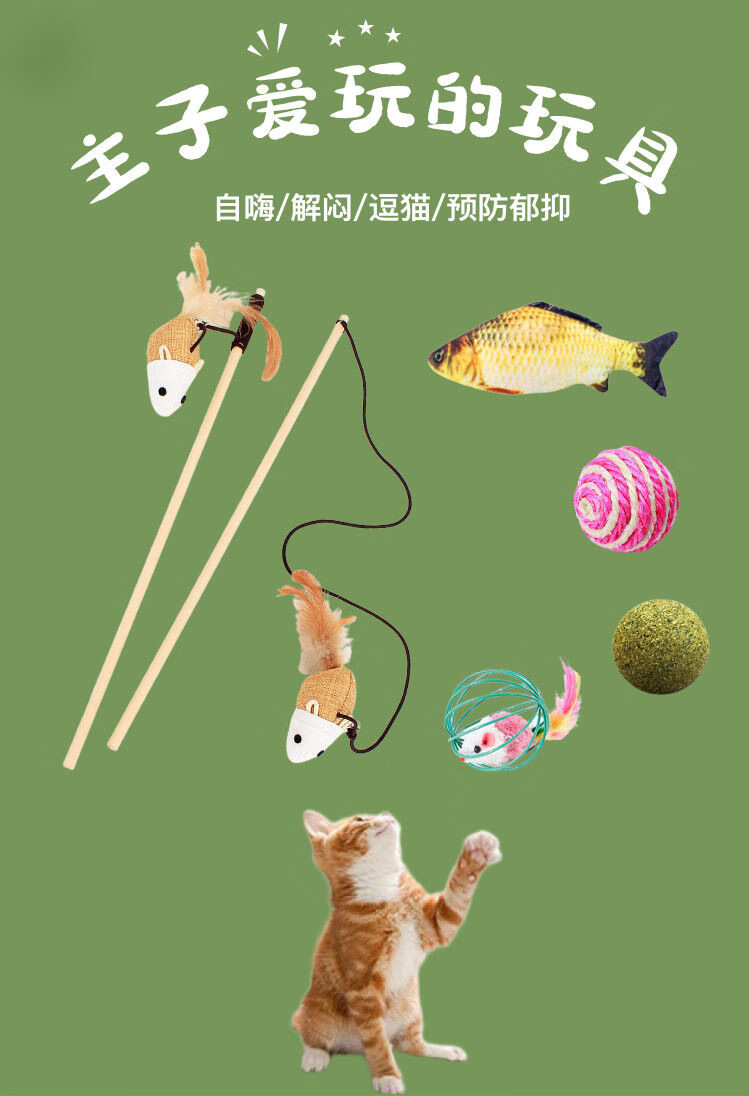 猫玩具逗猫棒套装自嗨解闷神器激光笔逗猫棒不倒翁猫薄荷猫咪玩具 乮