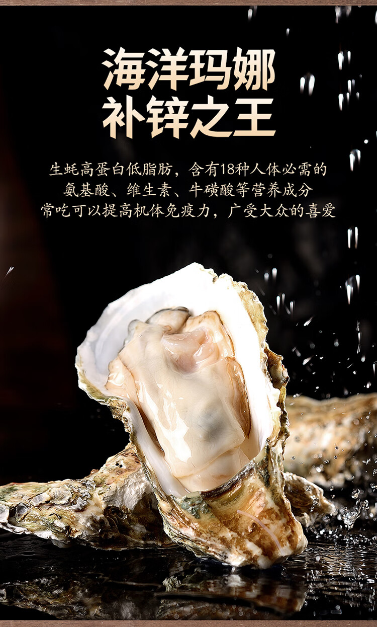 山东乳山新鲜生蚝鲜活海鲜水产海蛎子贝壳牡蛎带壳510斤xxxxl190g及
