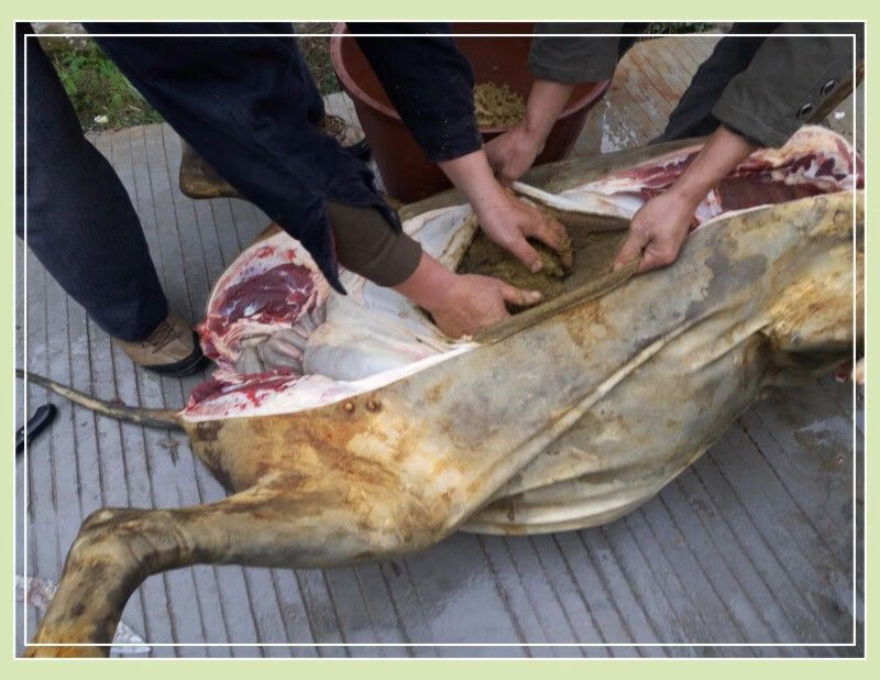 牛瘪汤正宗贵州黎平特产牛瘪火锅底料锦屏从江榕江新鲜牛瘪2斤装g