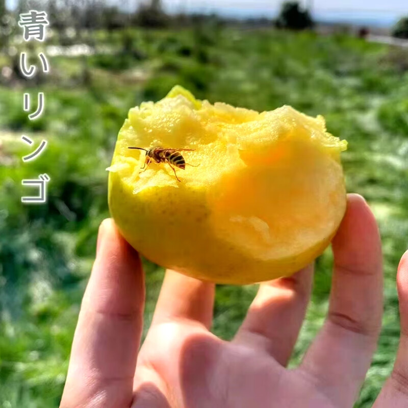 现货青慕斯青森王林苹果香脆甜约8斤礼盒当季精品礼盒70mm含75mm不含
