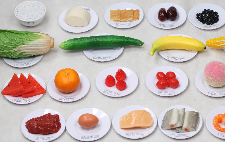 2022新款中国居民平衡膳食宝塔模型金字塔营养食物交换份仿真食品模型