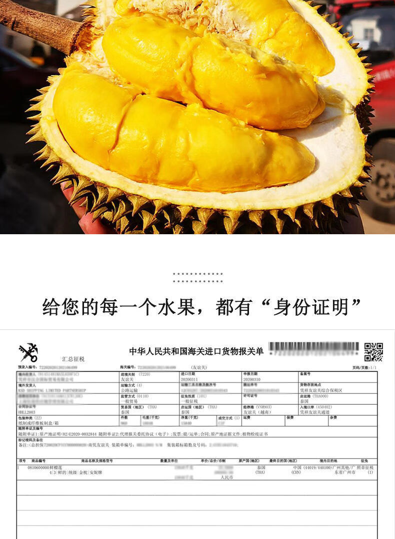 金枕榴莲新鲜热带水果巴掌榴莲整个非猫山王 臻选4-5斤(5-6房肉)