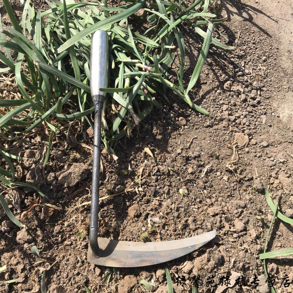 割韭菜小镰刀小号割刀子除草月牙锄迷你家用工具挖野菜蔬菜刀 韭菜刀