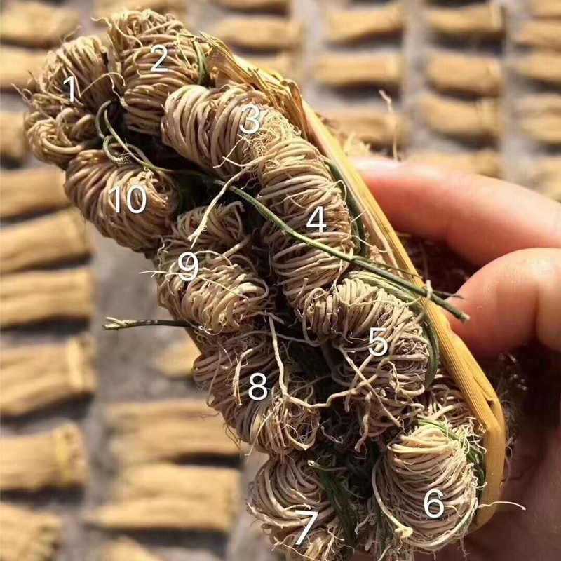 特级野外生肝草10扎丝线根龙须草草中药原材开胃汤料煲汤煮水杞里香