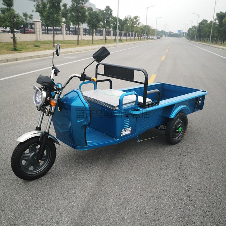 电动三轮车货运家用载货休闲成人拉货农用快递电瓶车接送孩子 标配1.