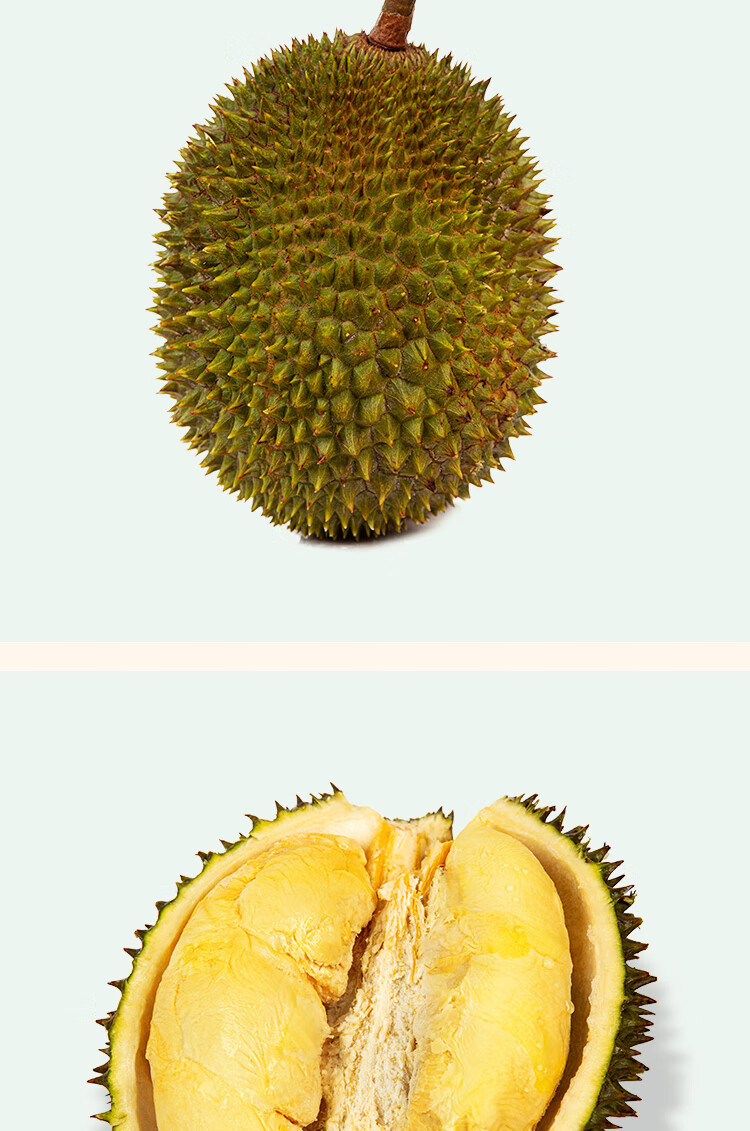 冷链配送正宗马来西亚稀有品种d175红虾榴莲树上熟榴莲新鲜水果3438斤