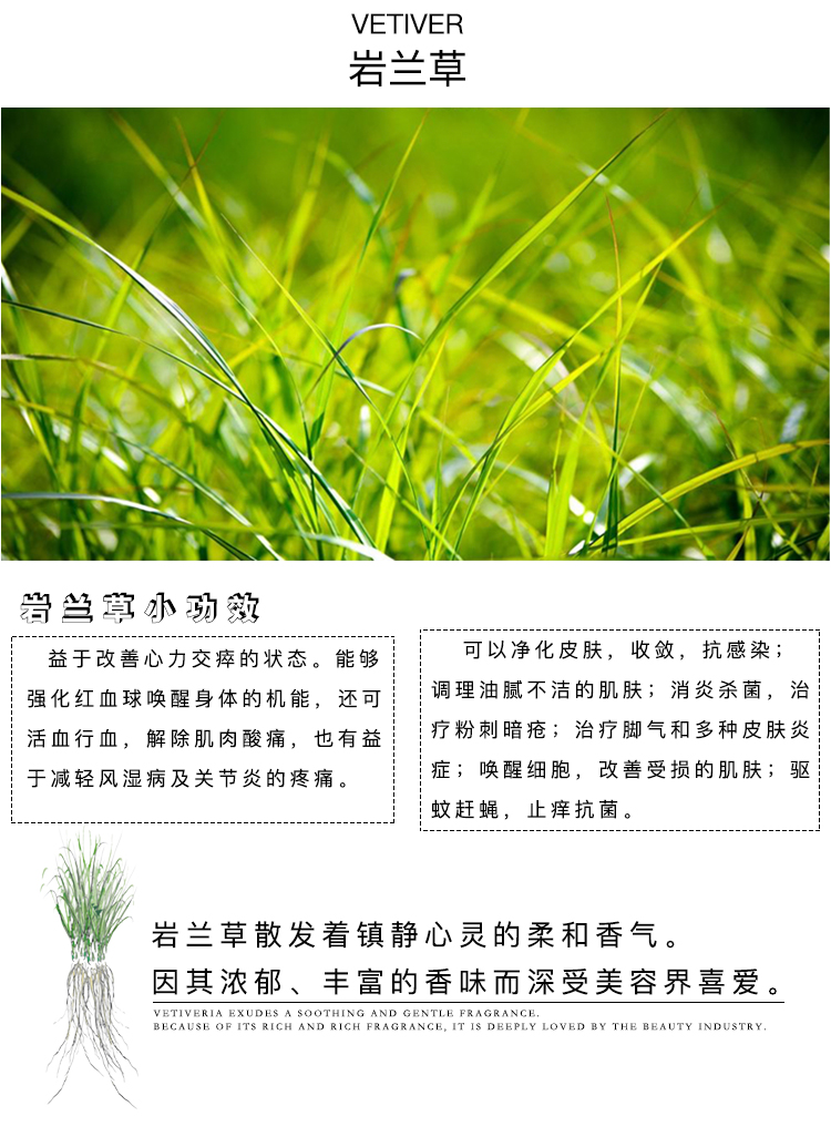 jasminevillage茉莉小镇岩兰草洗手液泡沫型抑消毒按压瓶家用425ml五