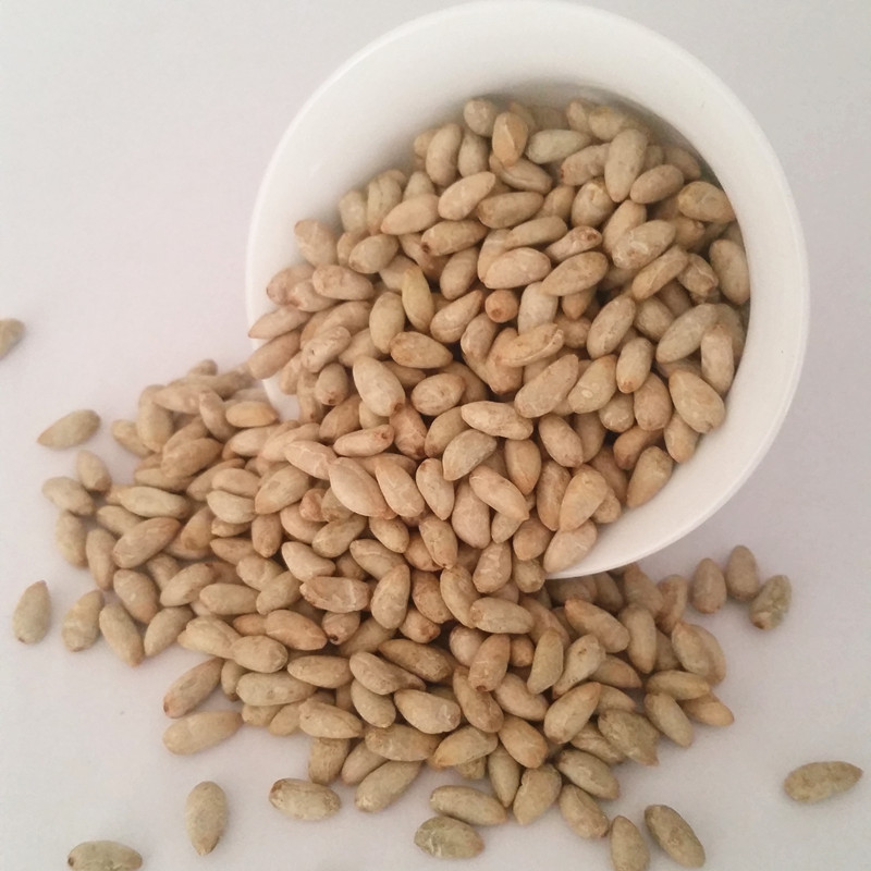 棉花籽 棉籽仁 棉仁 棉花 棉花子种子 去壳棉籽 棉花种子 特级精选棉