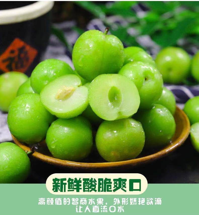 价新鲜三月李酸李子应季水果脆李李子珍珠李青李 小果(新鲜现摘)尝鲜