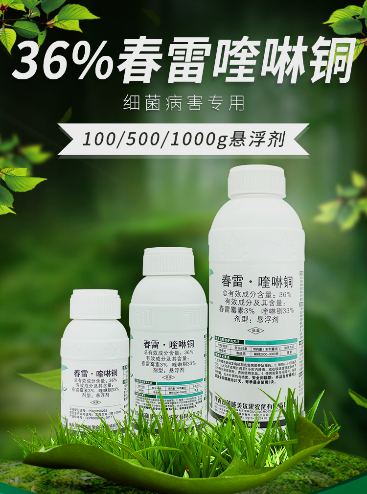 春雷霉素喹啉铜柑橘溃疡病桃树穿孔流胶芒果角斑病细菌剂农药100g