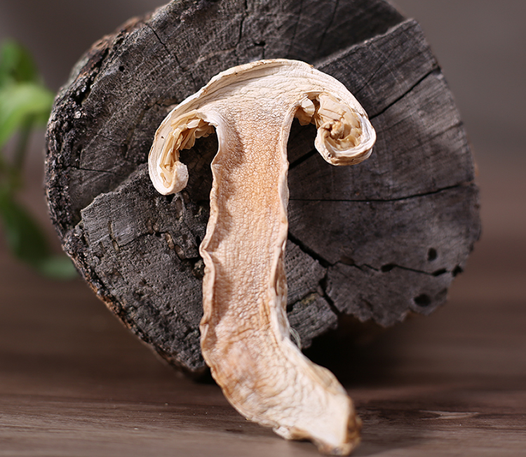 林芝野生松茸干片 500g西藏特产高海拔手工精选干松茸片 机器筛选