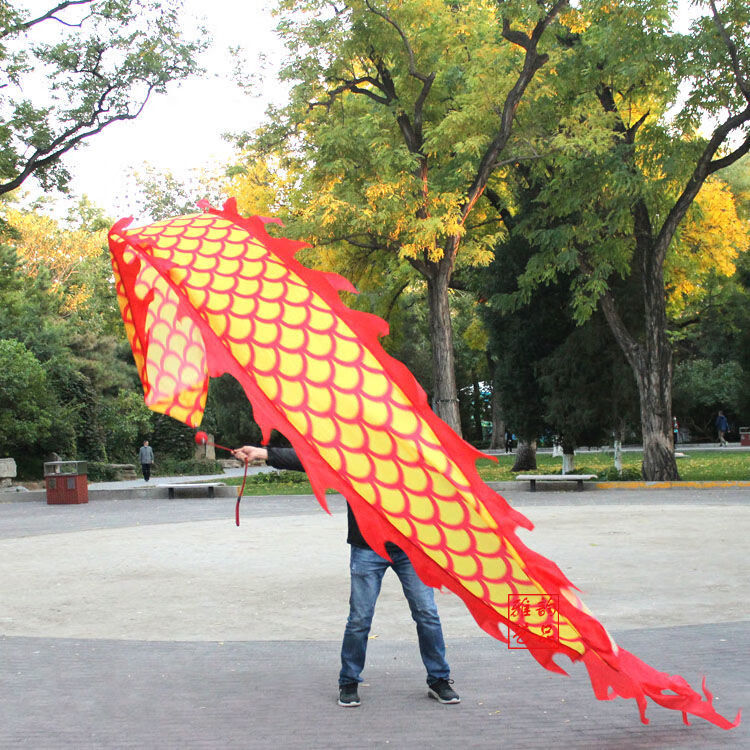 健身舞龙彩带甩龙龙飘带单人初学彩绸广场中老年绳甩球龙绸子2号5米