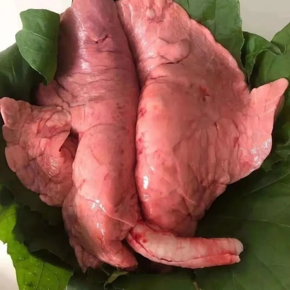 黑土猪新鲜猪肺农家散养猪肺子猪下水内脏商用冷冻 一副新鲜猪肺(有肺