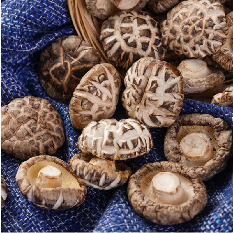 粽子材料花菇新鲜干货500克 一斤自产干花茹 干香菇 蘑菇 250g【图片