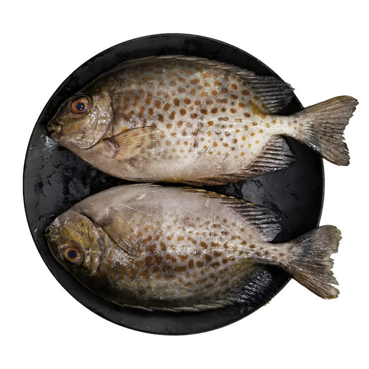 新鲜花泥猛鱼5斤海捕新鲜急冻锁鲜水产半斤肉厚鲜嫩营养宝宝爱吃2斤24