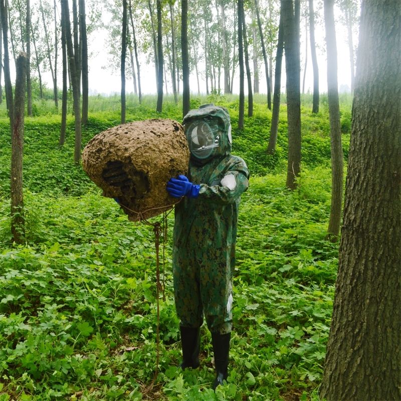抓马蜂服防蜂衣全套透气散热加厚连体捕胡蜂衣服金环虎头蜂防护服da级