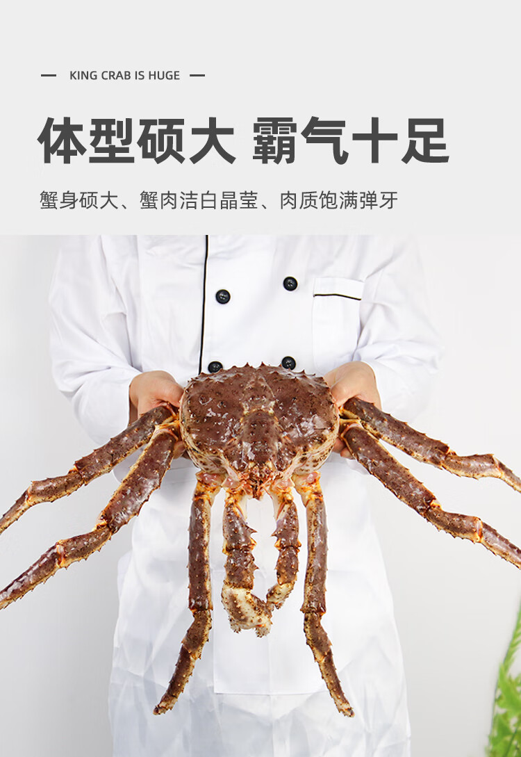 帝王蟹俄罗斯蟹帝王蟹皇帝蟹海鲜冰鲜水产鲜活速冻超大48可选斤皇帝蟹