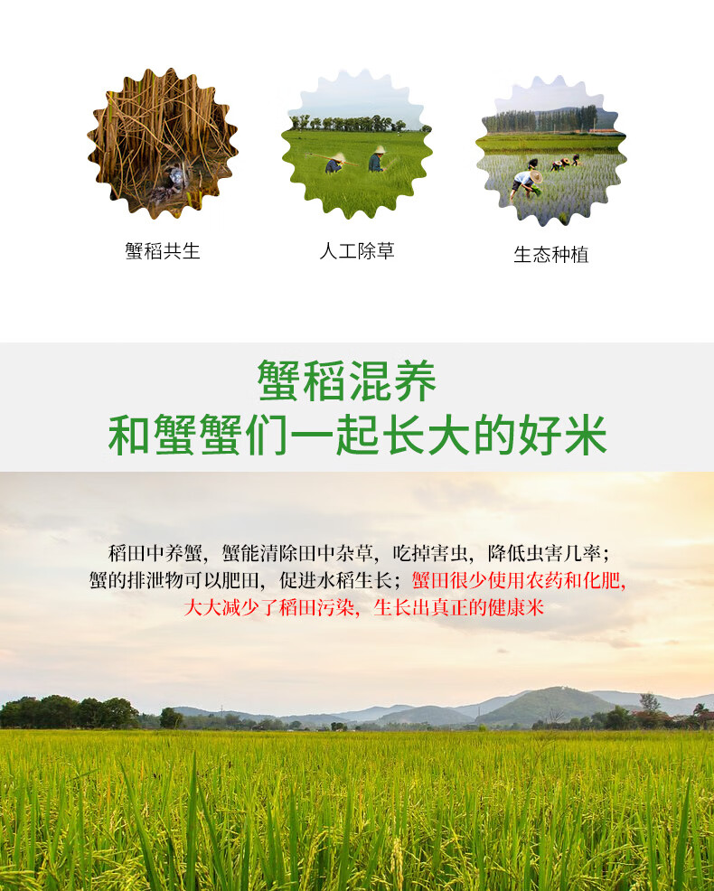 天禹10斤5kg装东北软糯新米蟹田种植大米珍珠粳米稻香米活动款编包