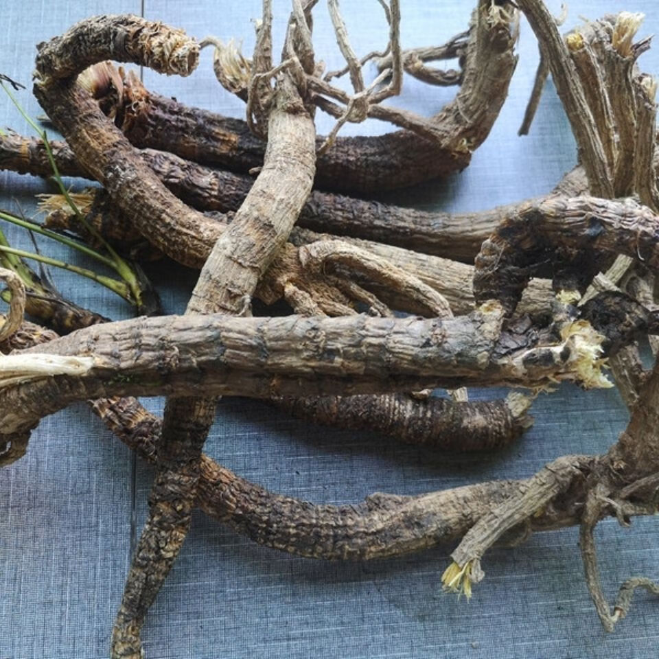 康中尊 贵州野外生岩川芎根干货500克 中药原材料岩防风野川芎光头