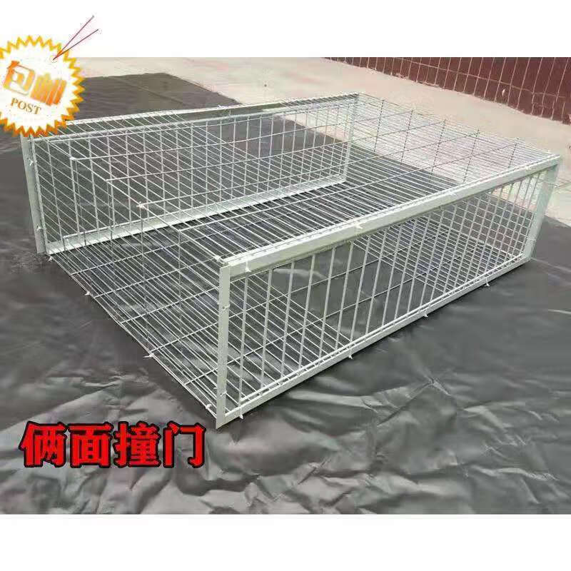 逮鸟夹子安全救助抓鸽子神器野外捕鸽子抓器网全自动大号诱捕逮鸽子