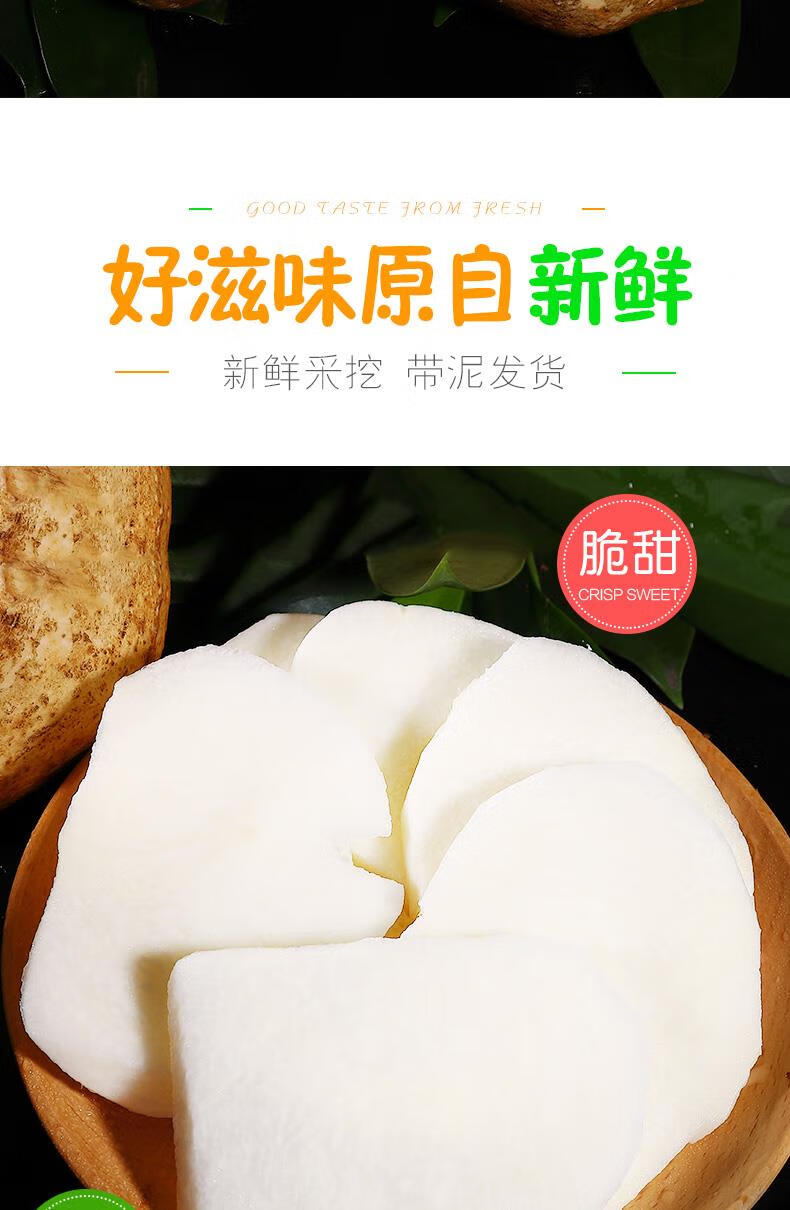 【广西凉薯】现挖新鲜红土豆薯农家白地瓜沙番薯5 大果 10斤