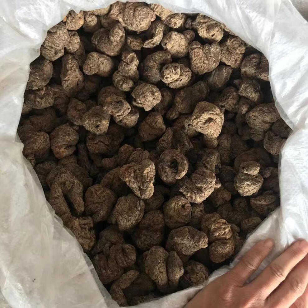 北京同仁堂原料生地黄精品河南焦作正宗怀生地中药材煲汤清热黄金姜黄