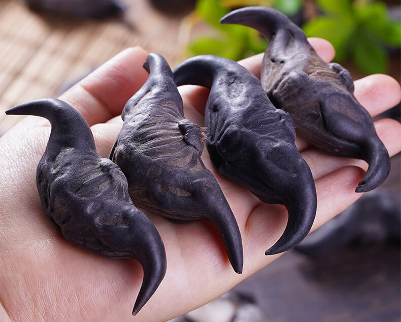 不粉包赔 大野生菱角 新鲜 5斤老棱角新鲜凌角大菱角9斤湖北特产 1500