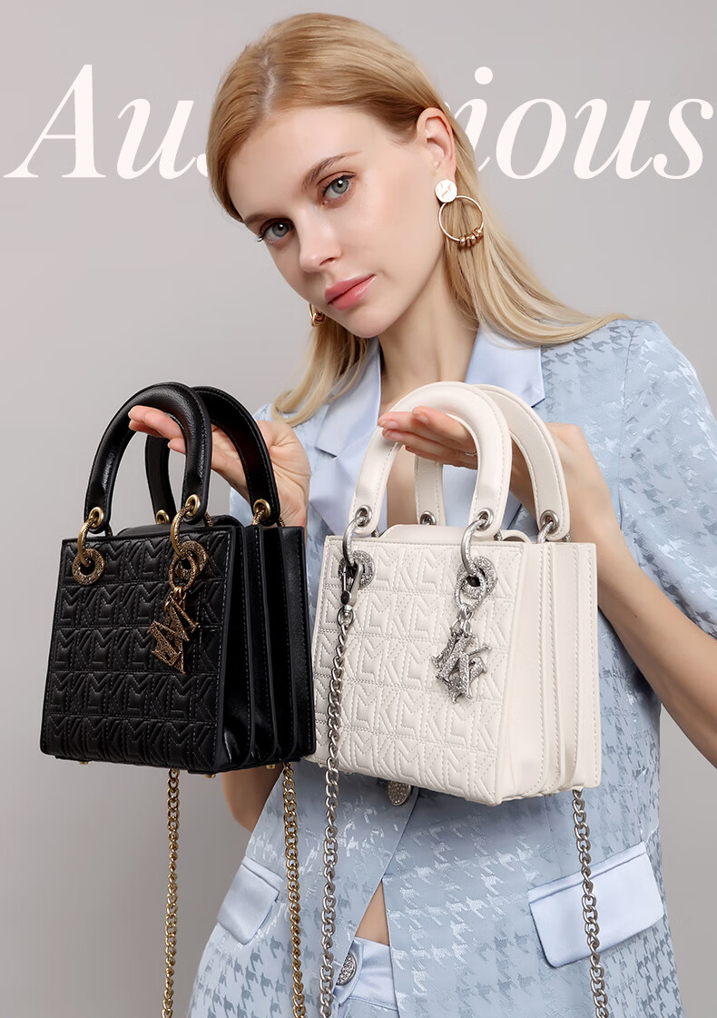 dzck ck轻奢品牌女包法国复古感戴妃包女新款时尚气质女士小众个性