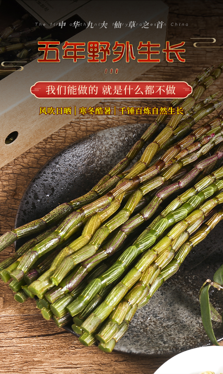 中药材新鲜铁皮石斛鲜条养生中药材500g特级枫斗安徽霍山产的石斛