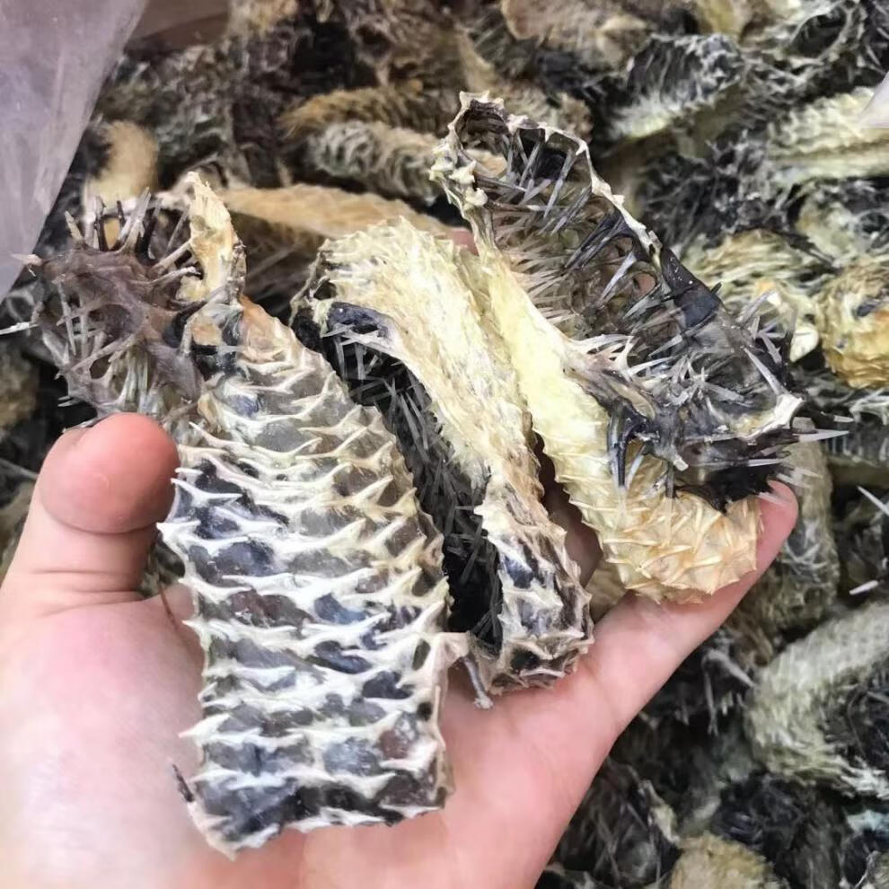 刺鱼皮250g 250g 刺龟皮刺豚1斤 高赞煲汤阳江海陵岛特产足干新鲜 250