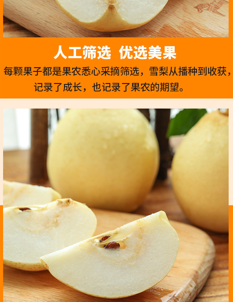 正宗河北魏县鸭梨大果新鲜10斤水晶梨子水果当季整箱5斤现摘9斤精品装