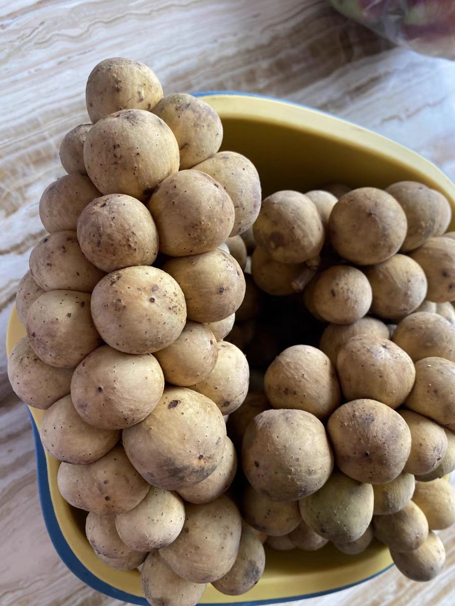 泰国龙宫果 新鲜水果 应季热带水果 龙贡爱情果 2斤【图片 价格 品牌