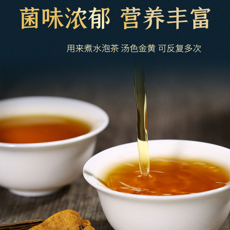 西藏野生桑黄正宗西藏桑树桑黄野生金边桑黄灵芝泡酒水 西藏野生桑黄