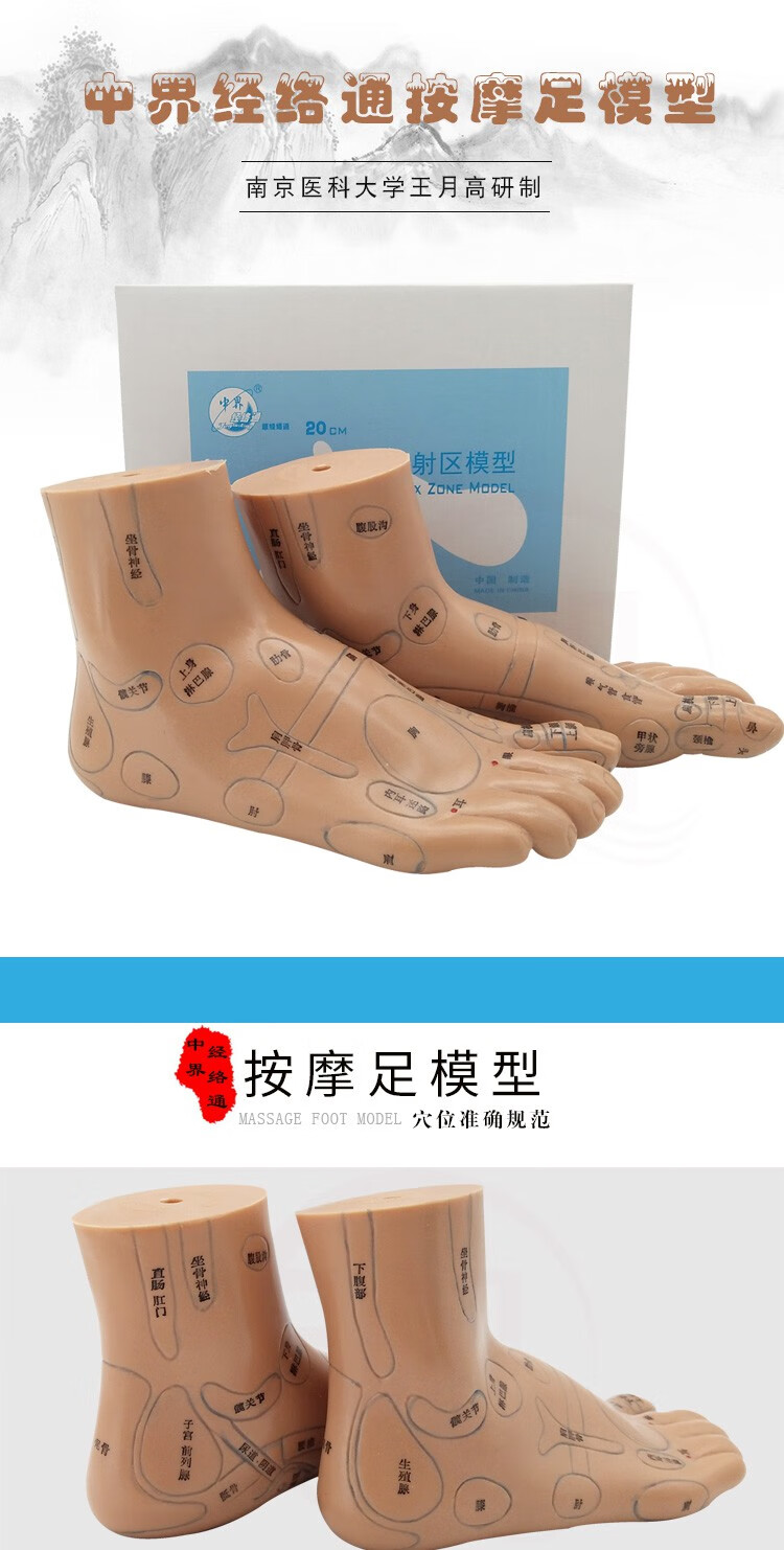 经络通足模足部反射区模型中医足疗穴位针灸模型按摩脚模型13cm足膜一